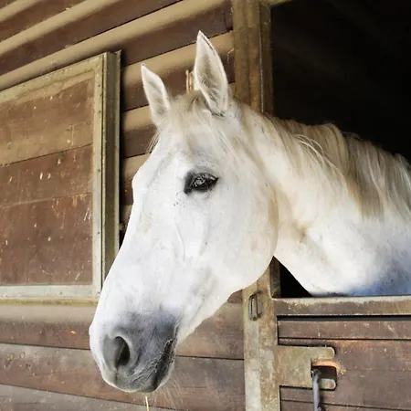 Due Ponti Village 4* Чезенатико