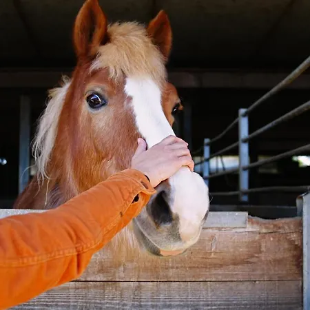 Lägenhetshotell Due Ponti Village Cesenatico