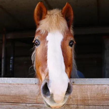 Due Ponti Village Lägenhetshotell