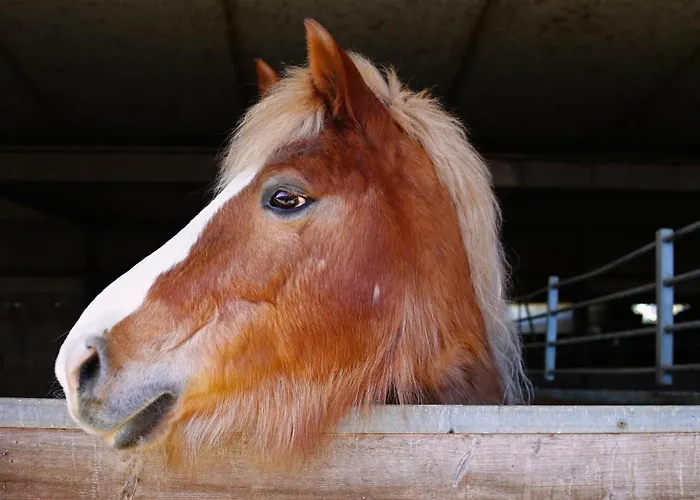 Aparthotel Due Ponti Village Cesenatico