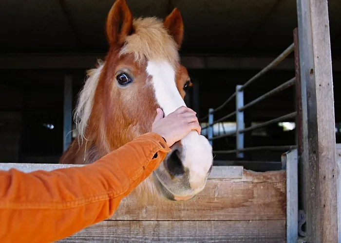 מלון דירות Due Ponti Village צ'סנטיקו