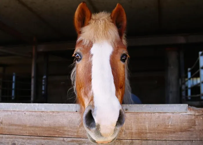 Due Ponti Village Aparthotel